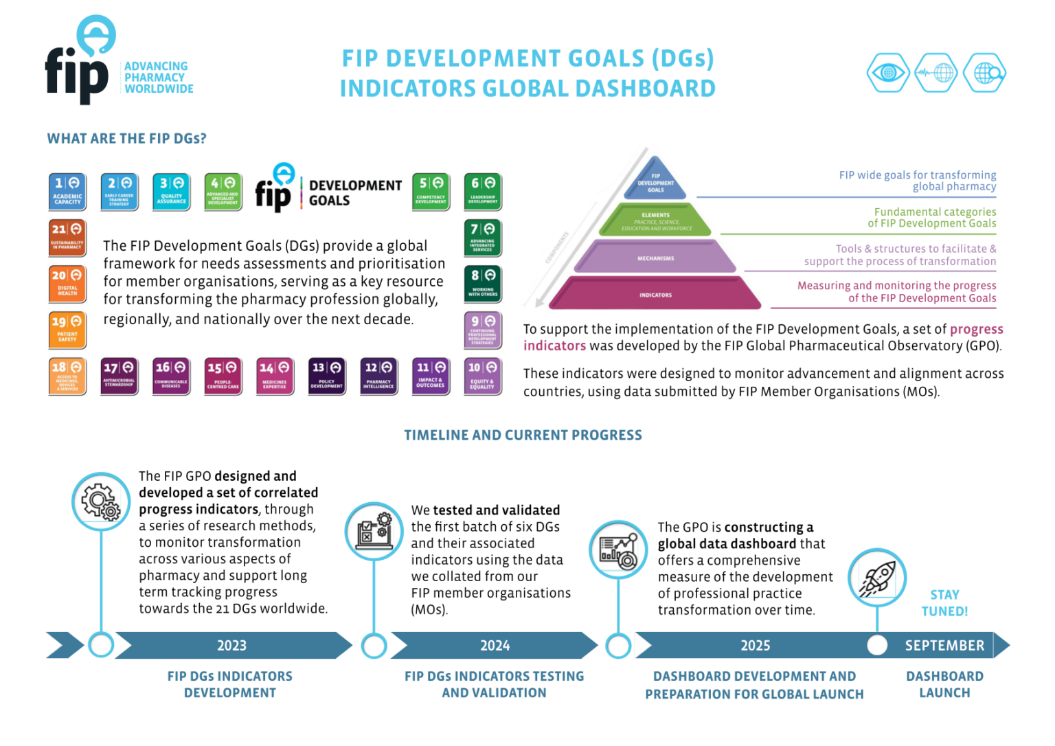 FIP Development Goals Indicators Global Dashboard – Global ...